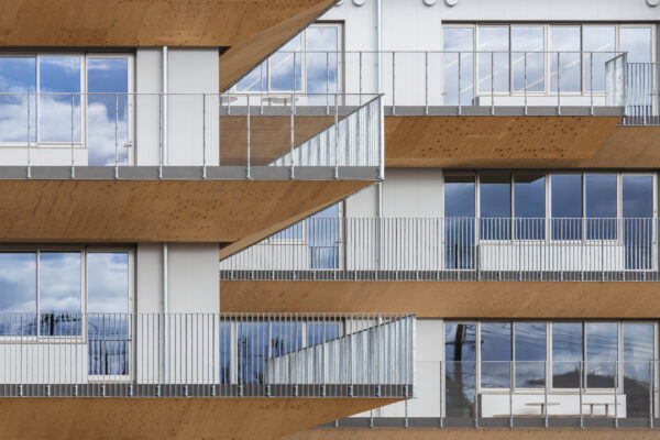 Nozomigaoka Elementary School and Junior High School (© Kawasumi・Kobayashi Kenji Photograph Office)