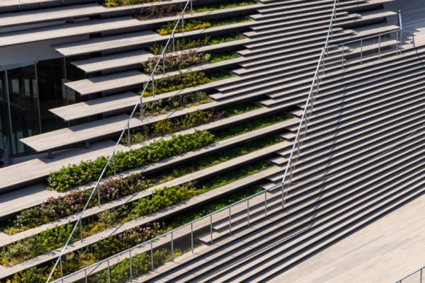 Science Tokyo Hisao & Hiroko Taki Plaza (©Kawasumi・Kobayashi Kenji Photograph Office)