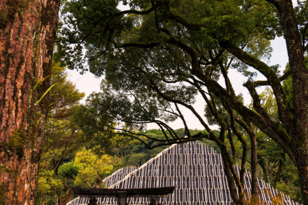 Aoi Aso Shrine / National Treasure Memorial Hall (© Masaki Hamada (kkpo))