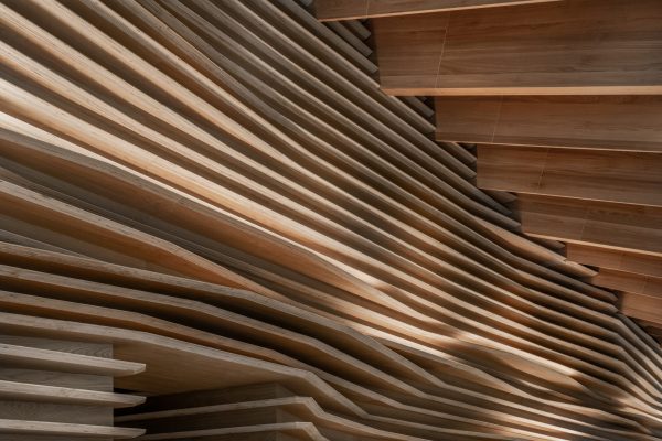 CMP Inspiration (© Chen Yang)