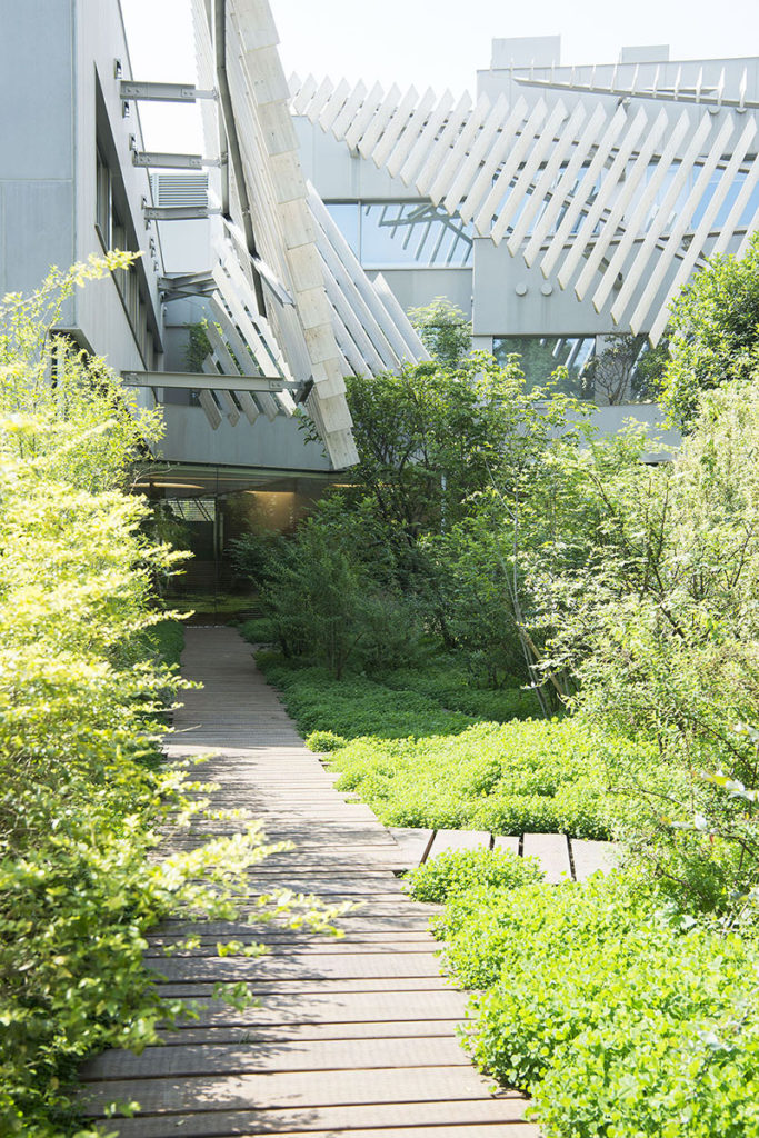Seijo Kinoshita Hospital / Green Hospital | © Toru Hiraiwa