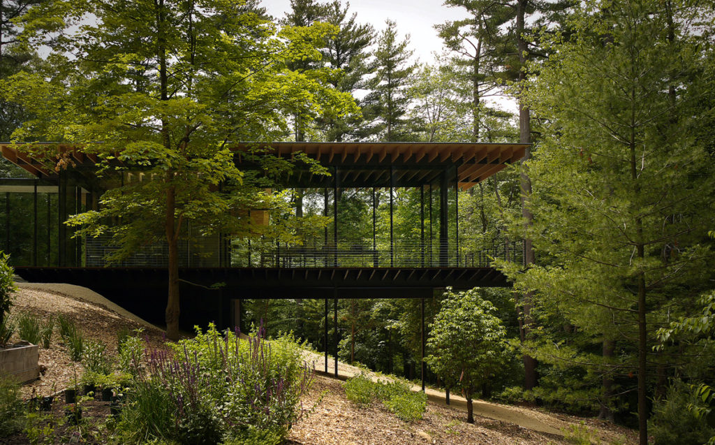 Glass / Wood house | © Scott Francis